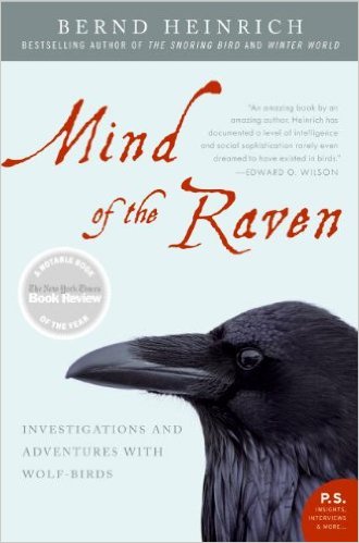 Mind_of_the_Raven